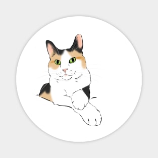 Calico Cat Portrait Magnet